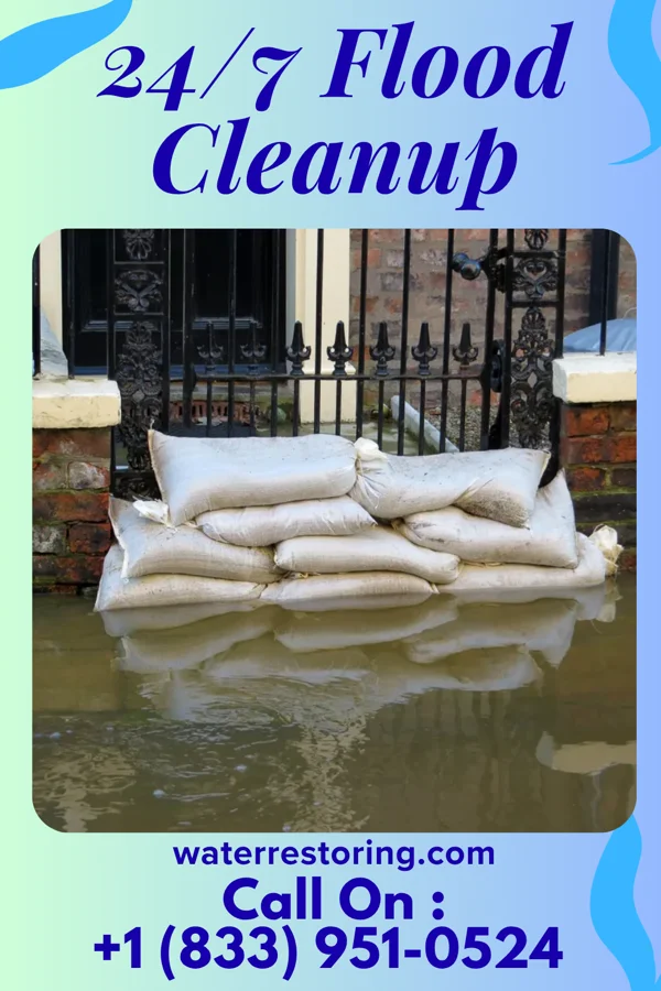 24/7 Flood Cleanup in New Palestine, IN