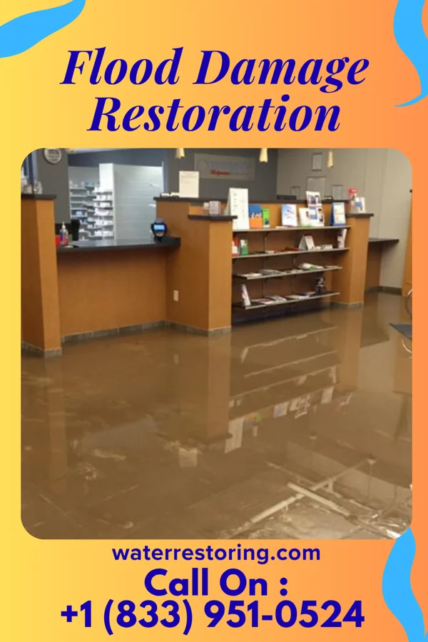 Flood Damage Restoration in New Palestine, IN