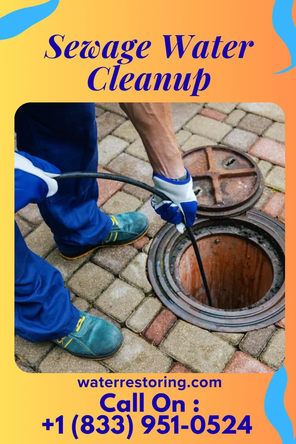 Sewage Water Cleanup in New Palestine, IN