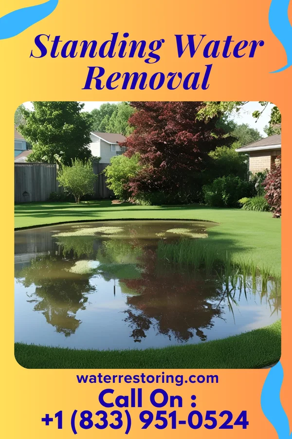 Standing Water Removal in New Palestine, IN